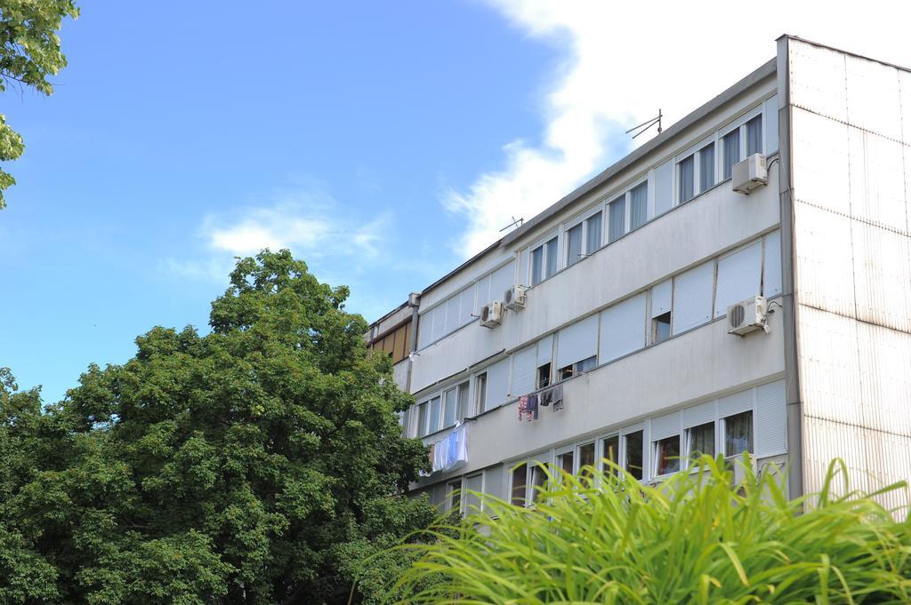 Apartment Daca Stan Belgrad Exterior foto