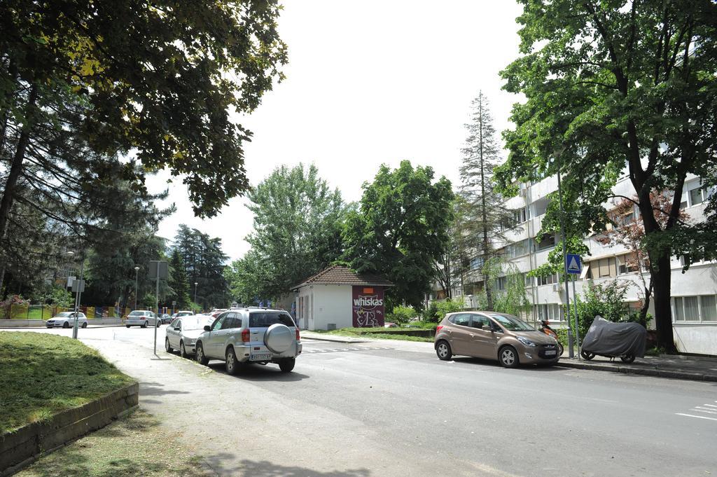Apartment Daca Stan Belgrad Exterior foto
