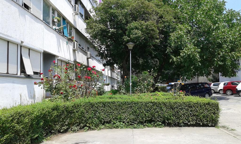 Apartment Daca Stan Belgrad Exterior foto